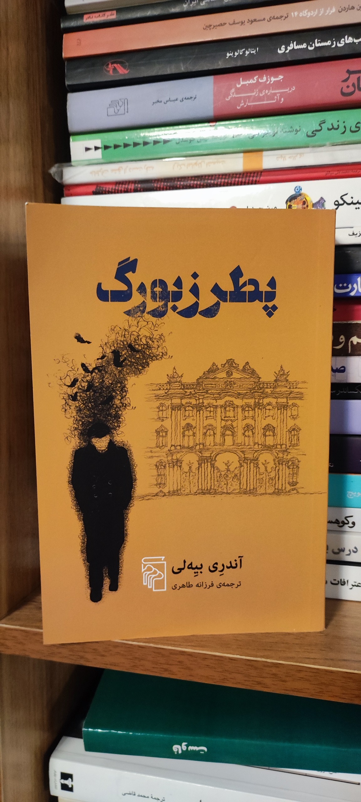 کتاب پطرزبورگ