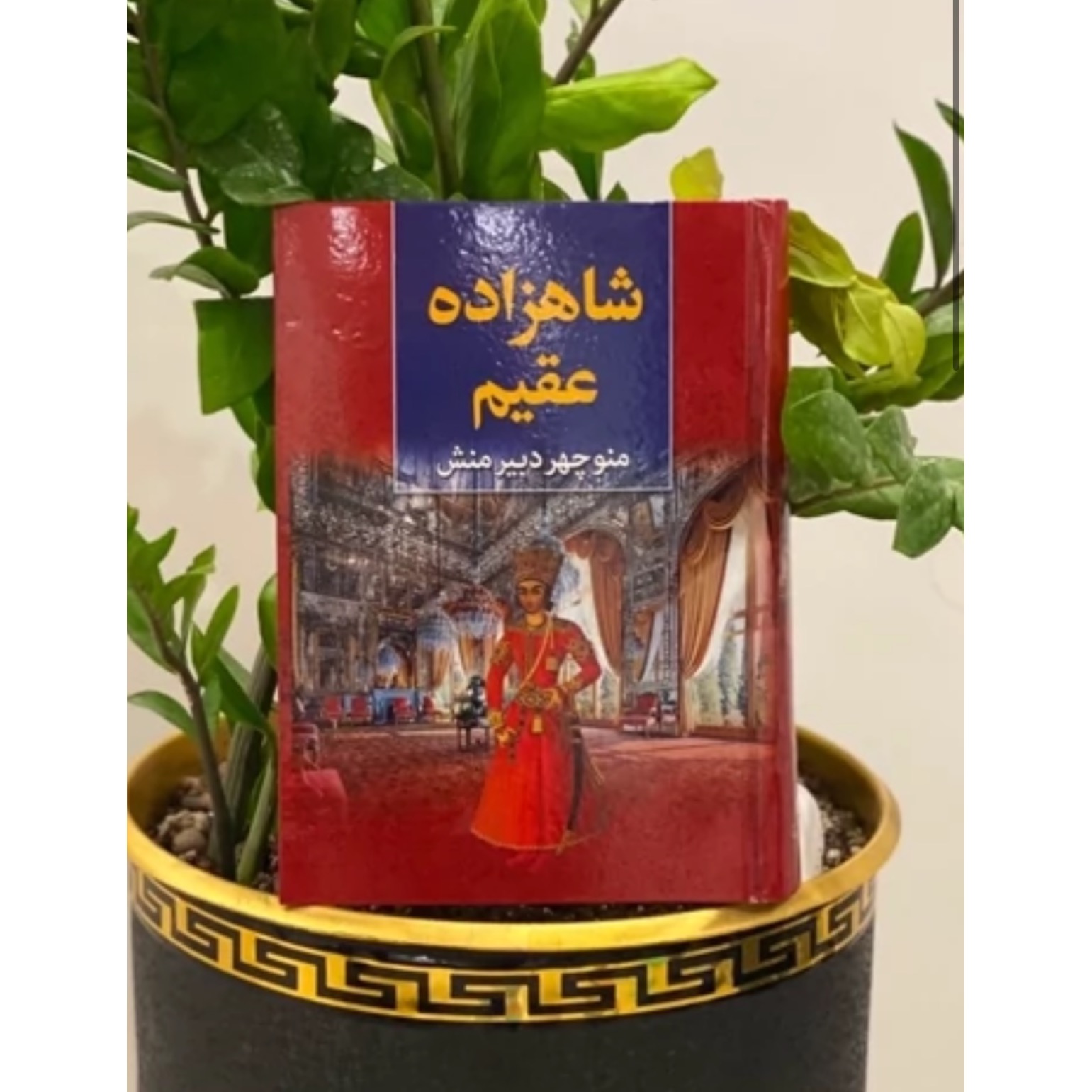 کتاب شاهزاده عقیم