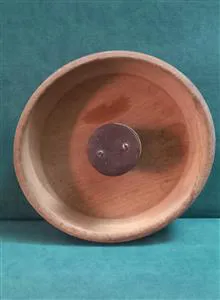 گردو