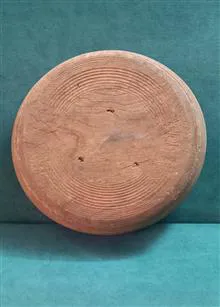 گردو