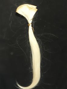 موی