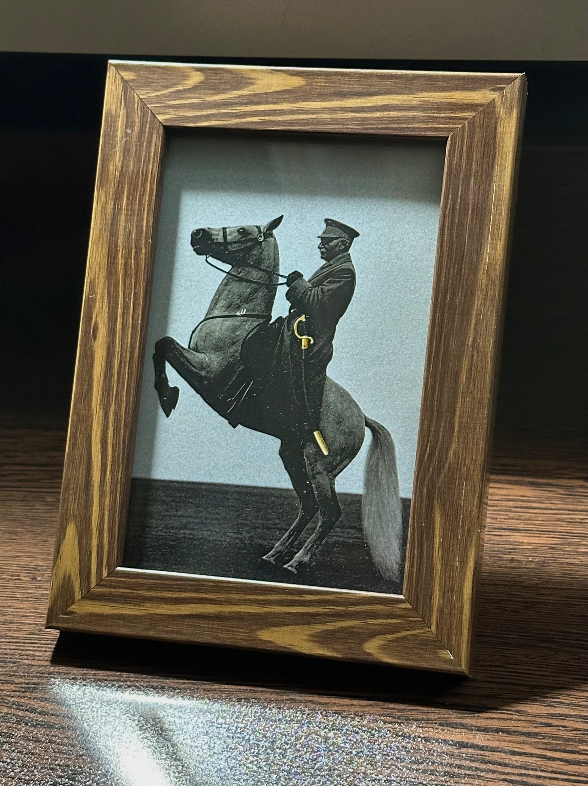 تابلوی زیبای رضاشاه (پهلوی اول)