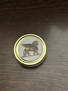 قوطی