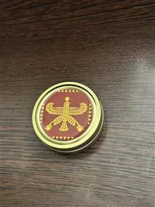 قوطی