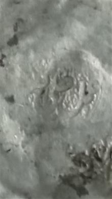 ظرف