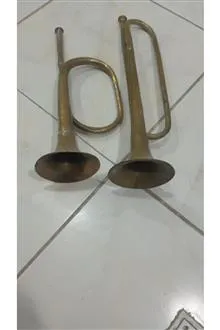 شیپور