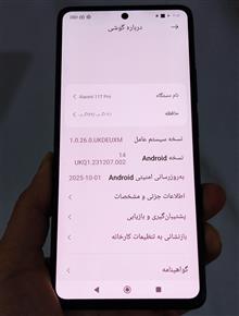 شیامی