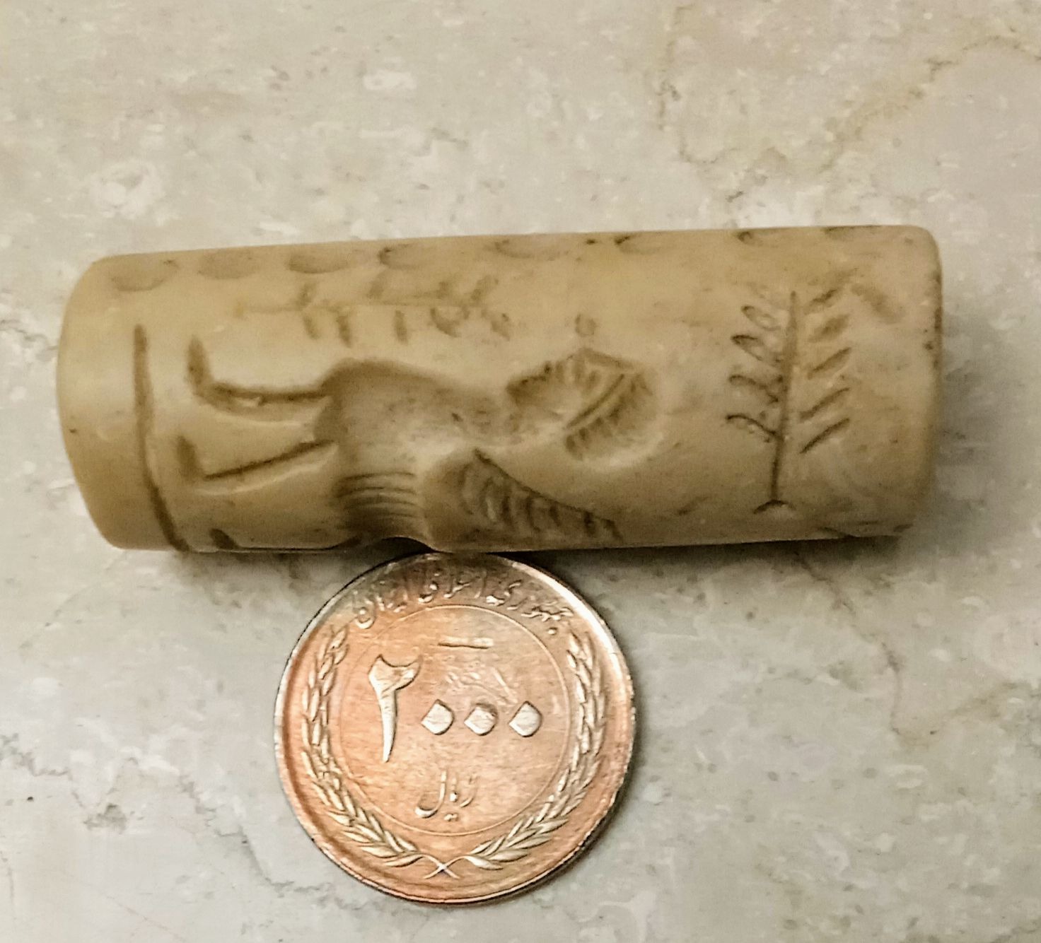 مهره نشان لول غوالپکر زیبا