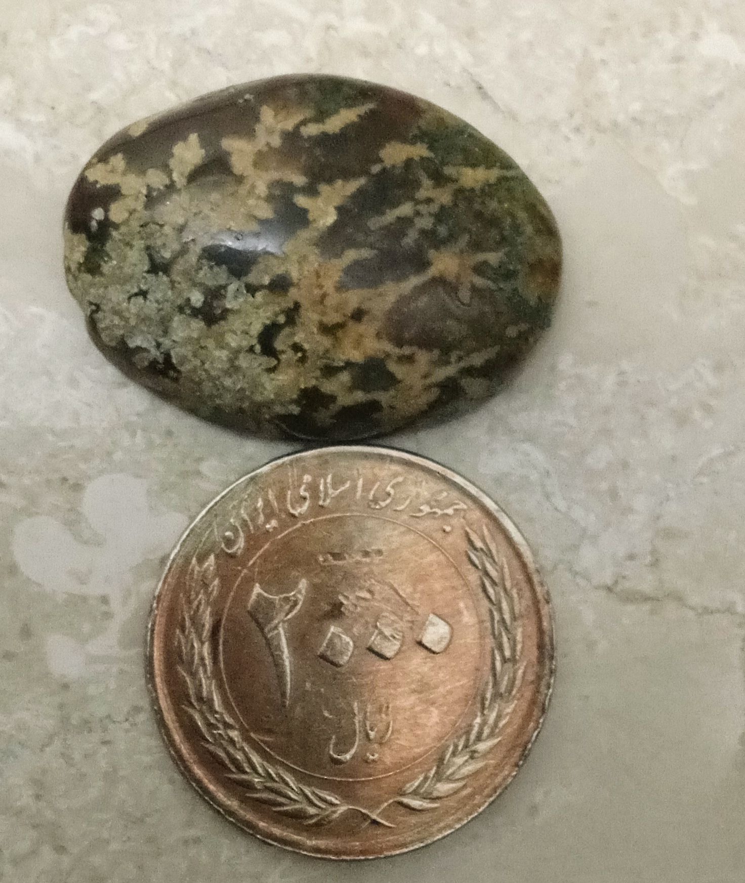 شجر درشت زیبا