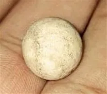 گوی
