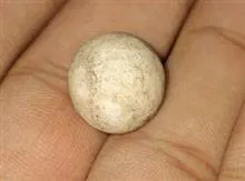 گوی
