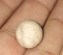 گوی