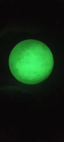 گوی