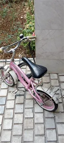 دوچرخه