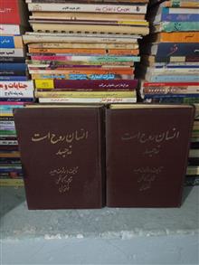 انسان