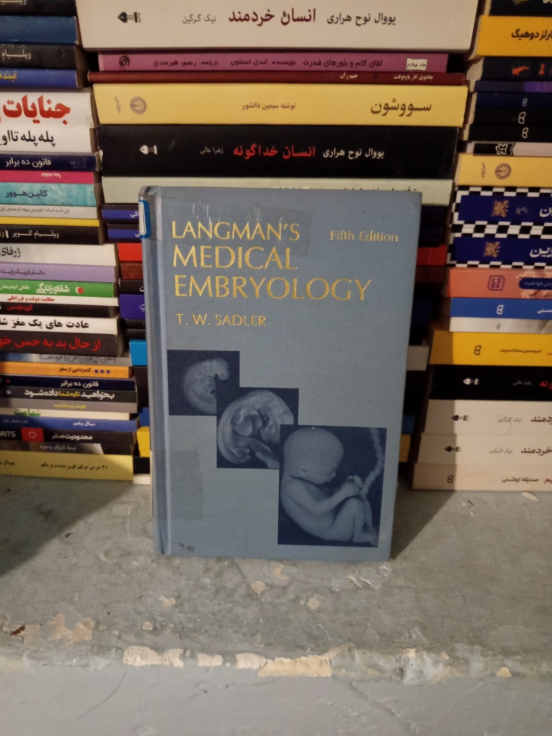 Langmans Medical Embryology