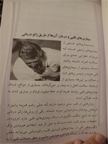 زالو