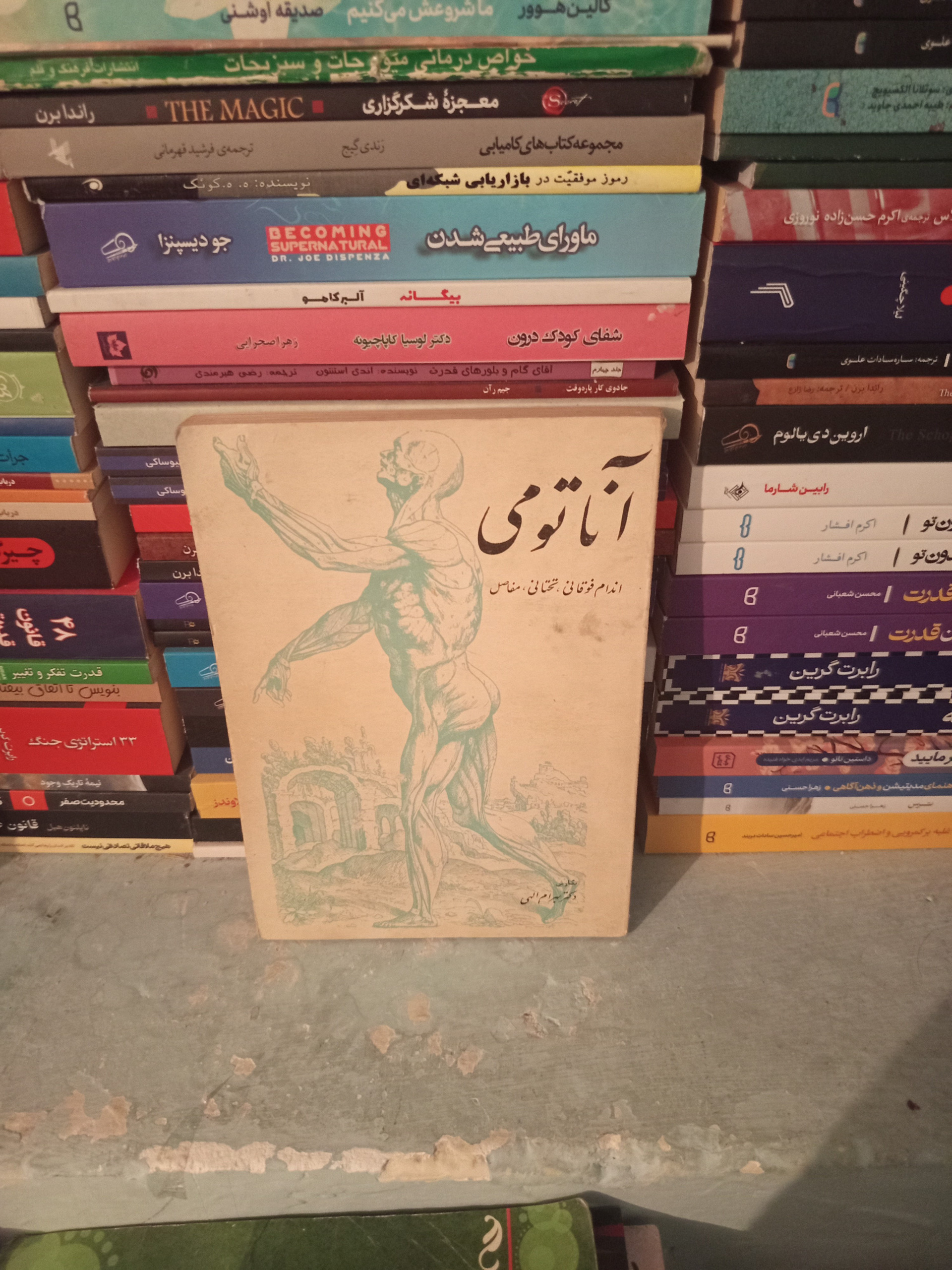 آناتومی اندام فوقانی تحتانی مفاصل قدیمی