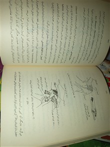 آناتومی