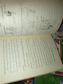 آناتومی