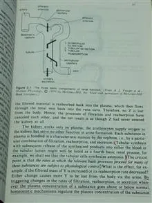 Renal