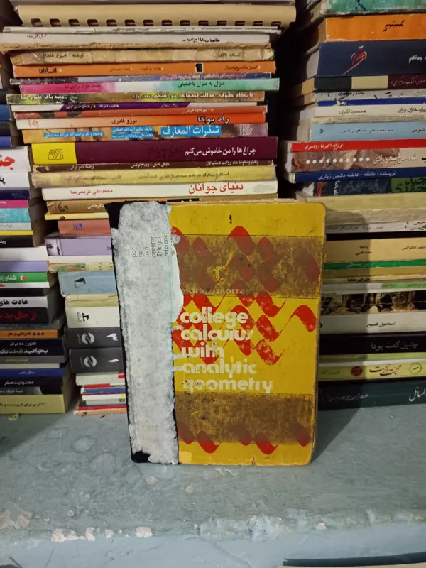 Technical Calculus with Analytic Geometry