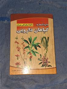 دایره