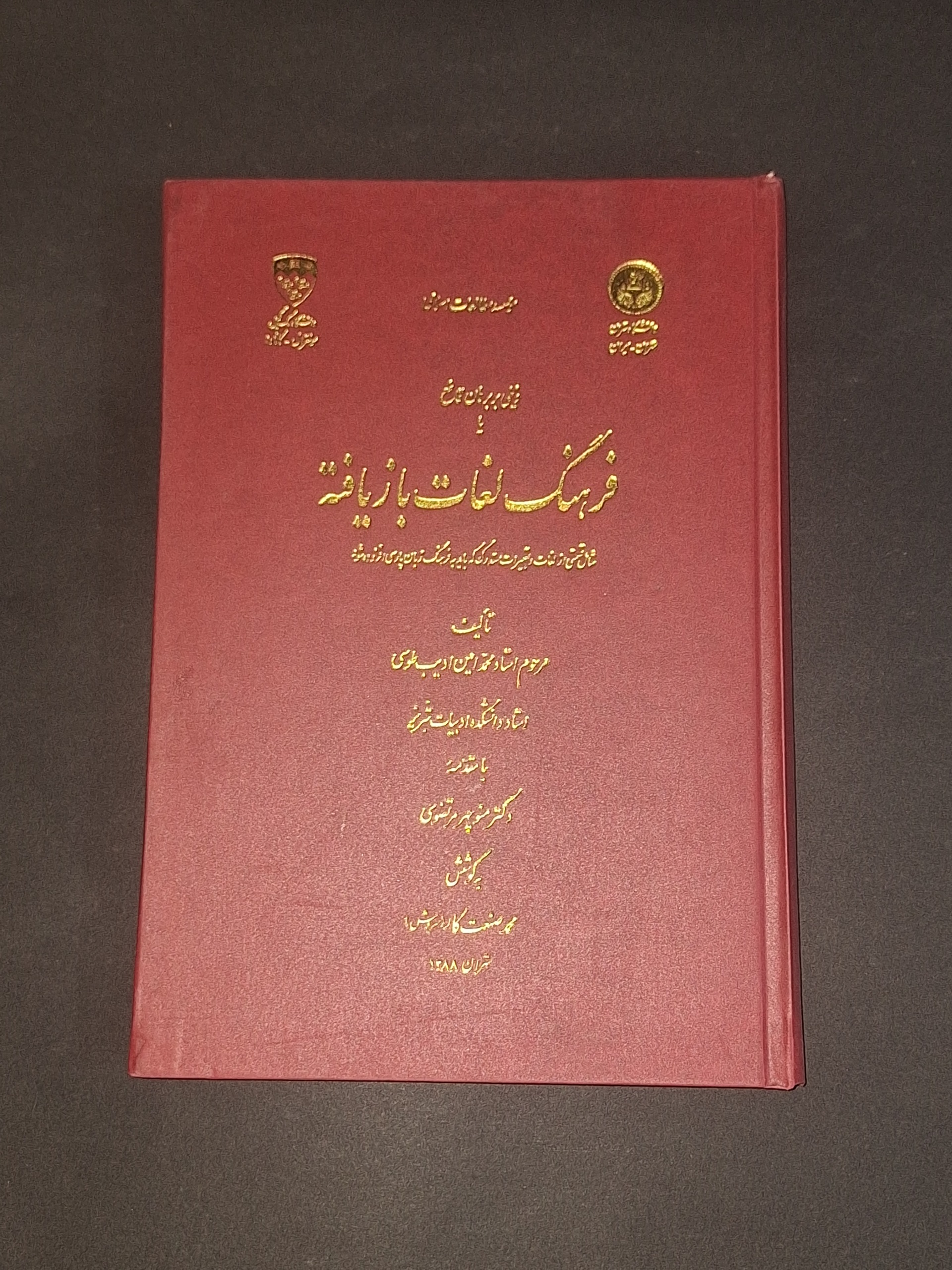 فرهنگ لغات بازیافته