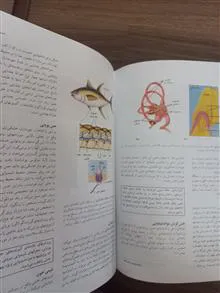 زیست