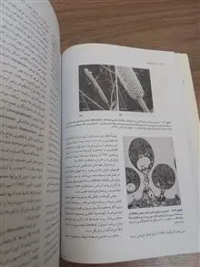 اصول