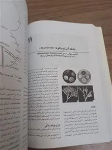 اصول