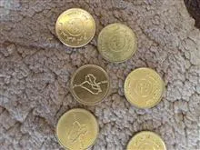 سکه