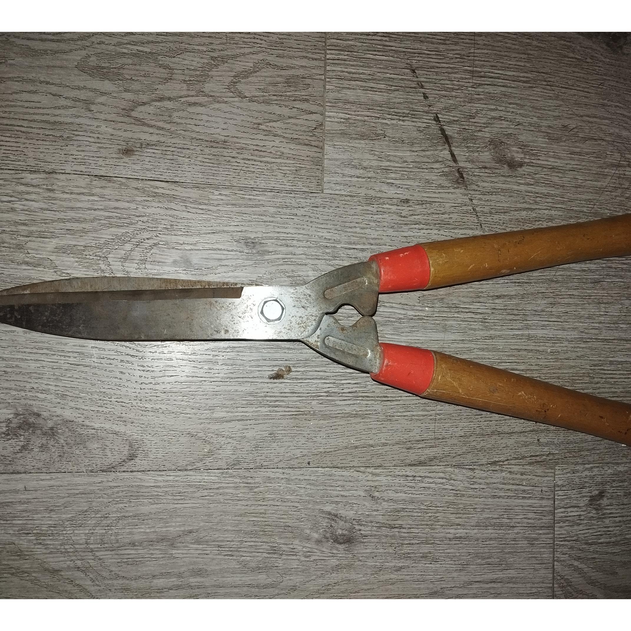 قیچی شمشاد زن خارجی