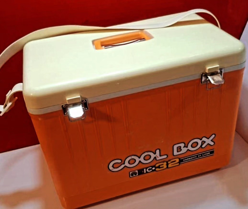 یخدان cool box