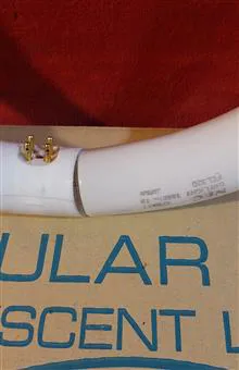 لامپ