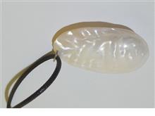 گردنبند