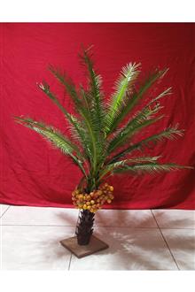 درخت