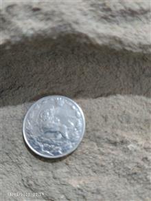 سک
