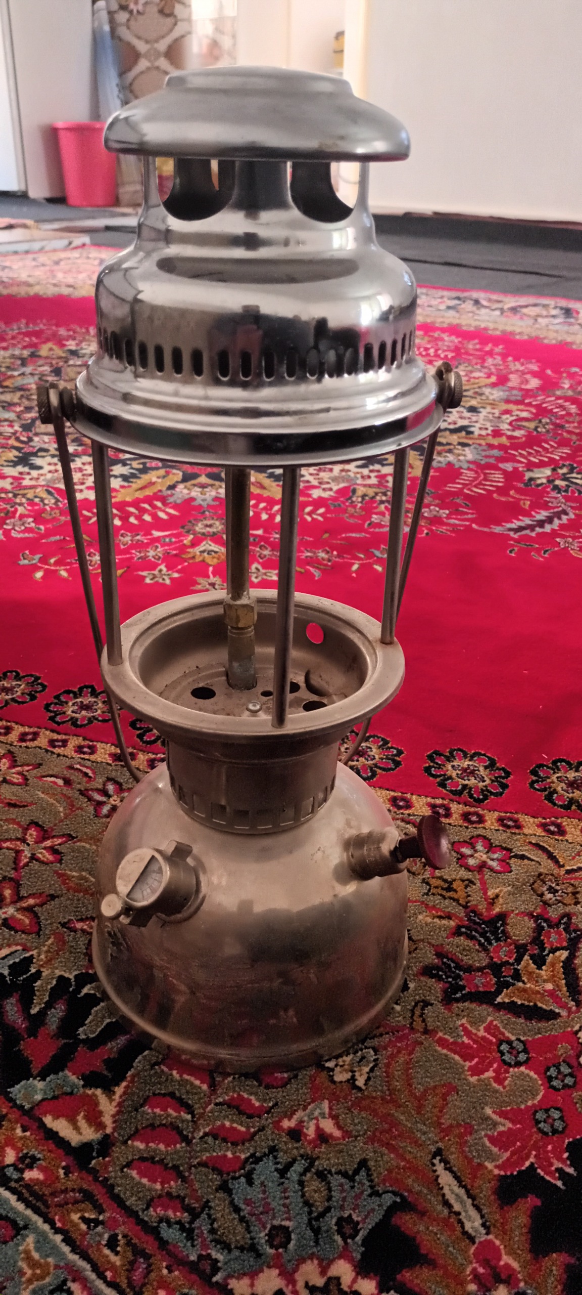 لاله زنبوری سوئدی نفتی