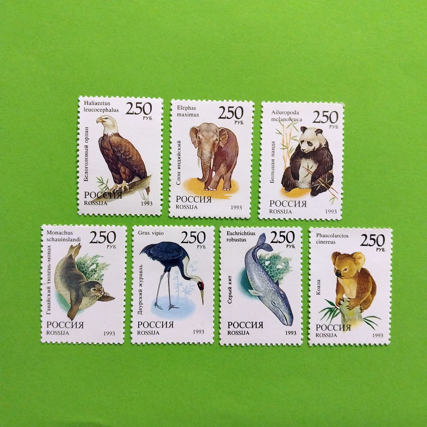 سری 7 تمبر حیوانات | شوروی | 1990