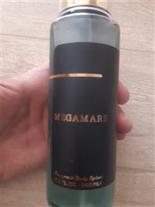 بادی