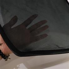 آفتابگیر