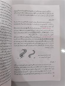 زیست