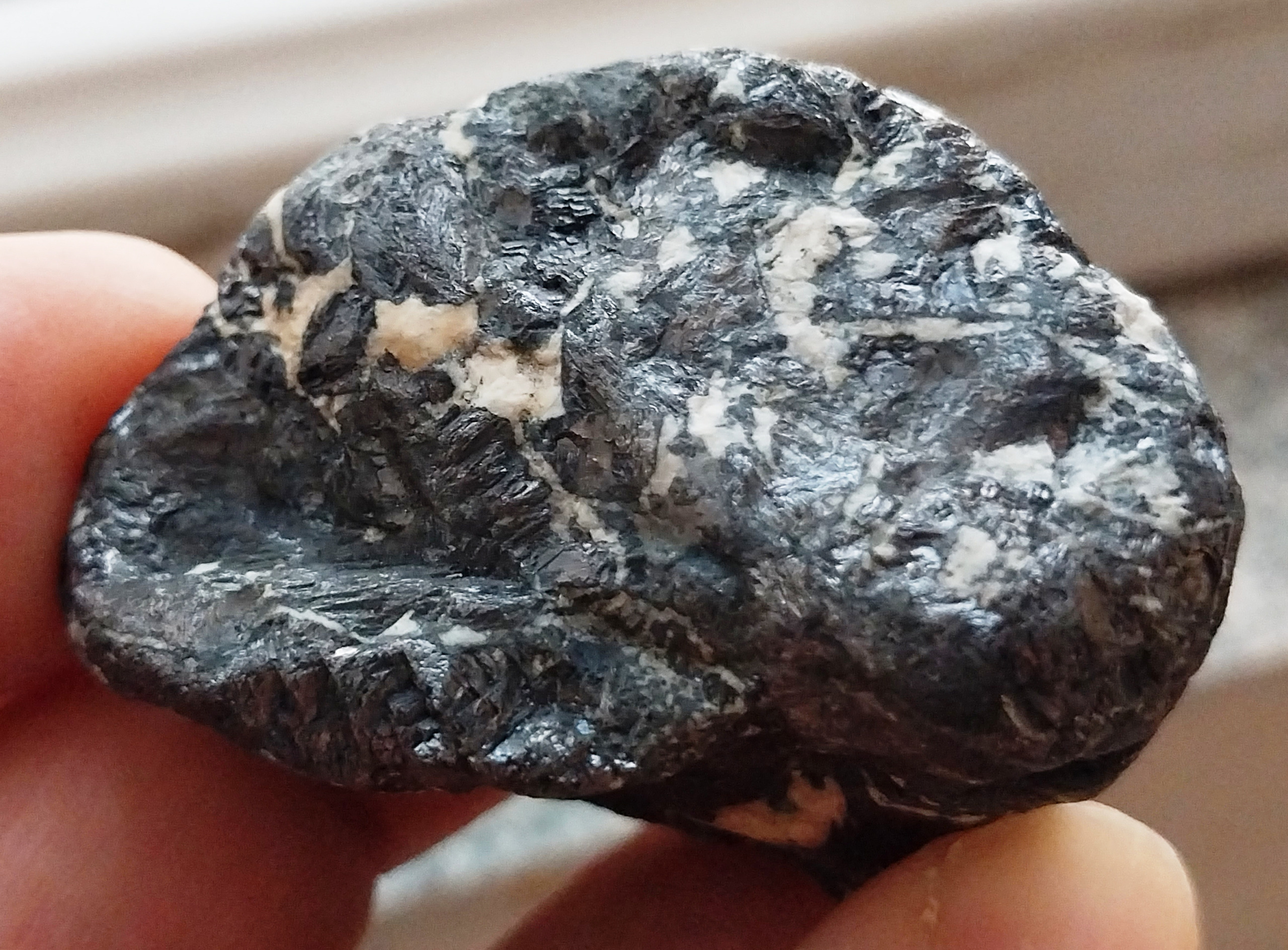 کانی گالن آموزشی