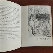 احیاء