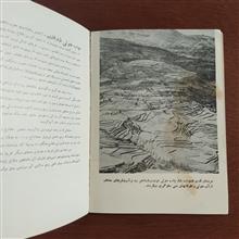 احیاء