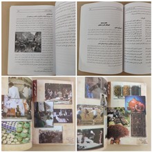 فرهنگ