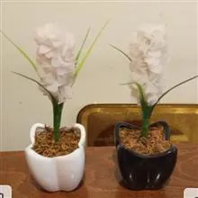 گلدان