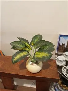 درختچه