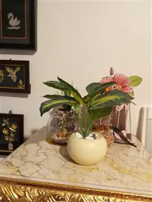 درختچه